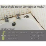 MMR Professional Instant Mold and Mildew Stain Remover, 32 oz. thumbnail 7