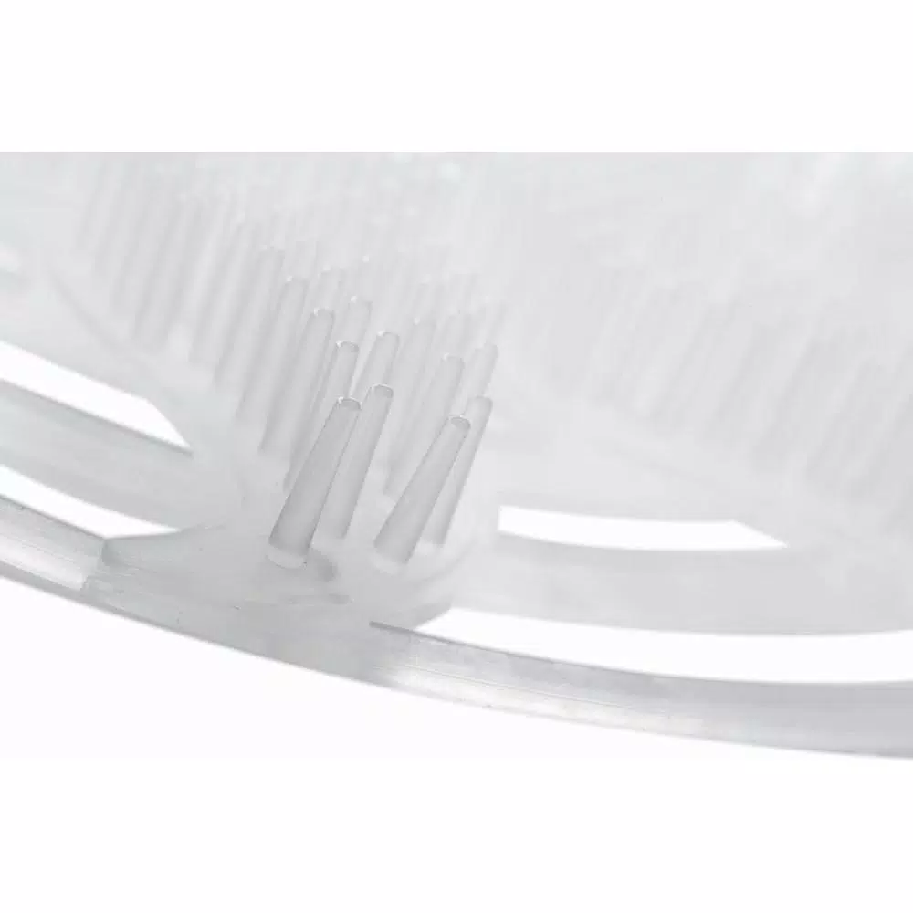 Unbranded Tropical Fruit Fragrance Anti-Splash Clear Urinal Screen (10 per Box)