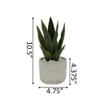 Flora Bunda 12 in. Faux Snake Plant in 4.75 in. Arrow Pattern Cement Planter thumbnail 2