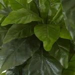 Nearly Natural 5 ft. UV Resistant Artificial Bird Nest Fern Tree - Indoor/Outdoor thumbnail 2