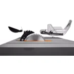 RIDGID 10 in. Professional Cast Iron Table Saw, 13 Amp, 3.25 HP thumbnail 6