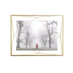 Umbra Prisma 5 x 7 in. Matte Brass Floating Picture Frame thumbnail 1