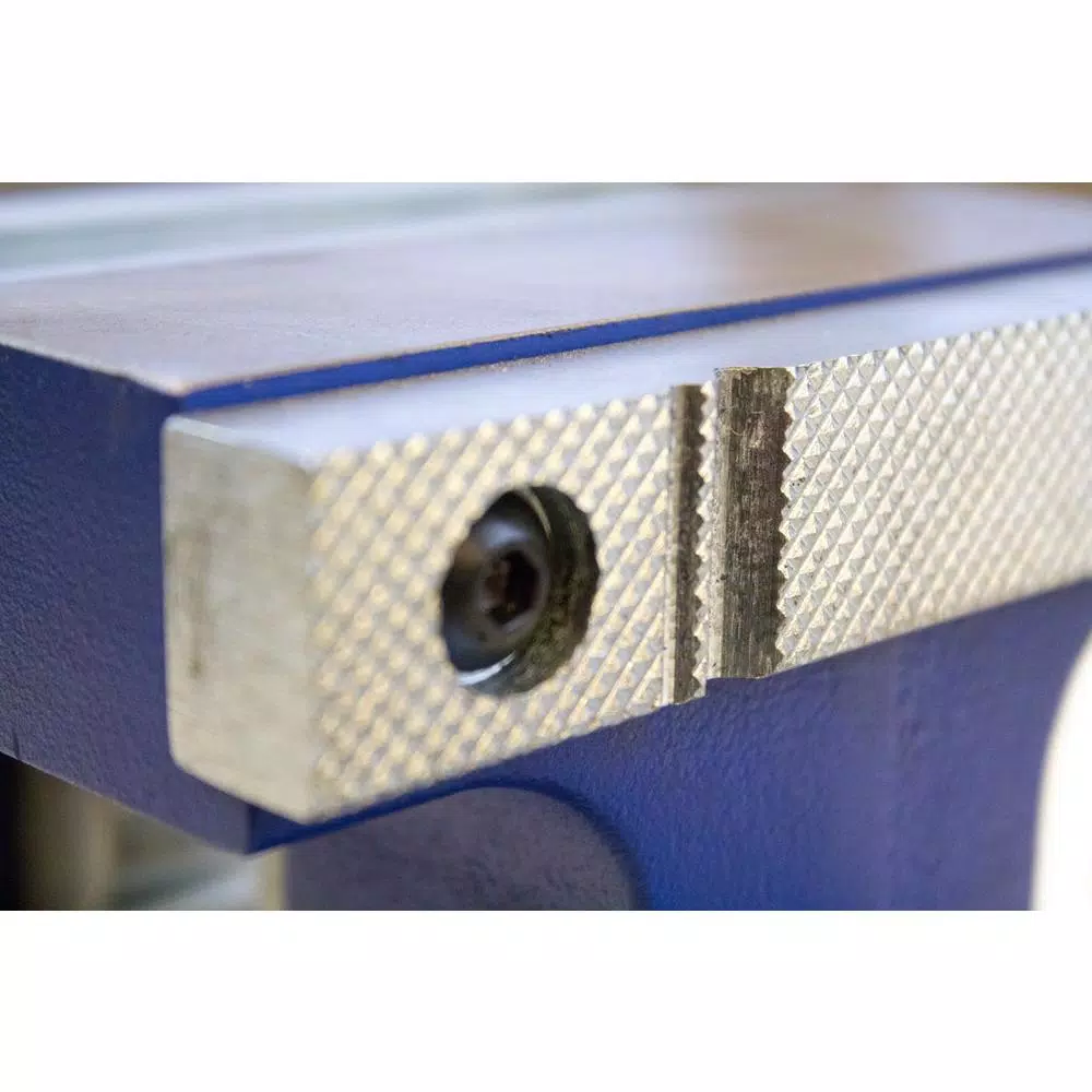 Yost 855 Professional 5.5 in. Reversible Mechanics Vise with 360° Swivel Base