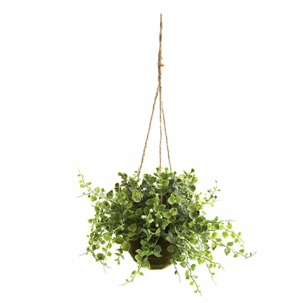 Nearly Natural Eucalyptus, Maidenhair, and Berry Faux Hanging Plant Set of 3 with Wicker Baskets