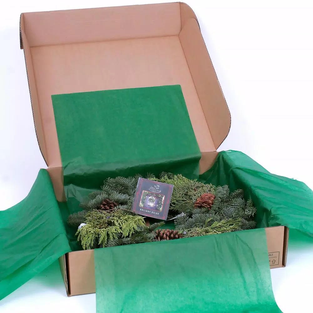 VAN ZYVERDEN 20 in. Live Fresh Cut Pacific Northwest Mixed Christmas Wreath with Pine Cones