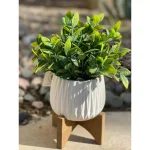 Flora Bunda 10.75 in. Faux Tea Leaf Plant in White Ridge Pattern Ceramic Planter with Wood Stand thumbnail 3
