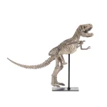 Zentique Distressed Brown and Grey Tyrannosaurus Rex Skeleton Statuette with Metal Base thumbnail 1