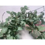 Glitzhome 24 in. Green Artificial Eucalyptus Wreath with Frosted Leaves and Grapevine Base thumbnail 2