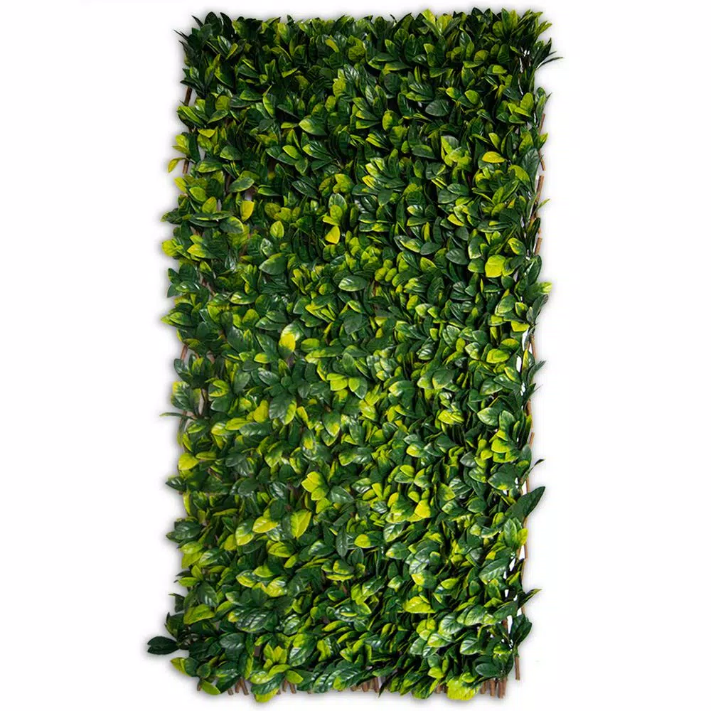 Greensmart Decor 40 in. x 80 in. Artificial Lemon Leaf Lattice Privacy Screen