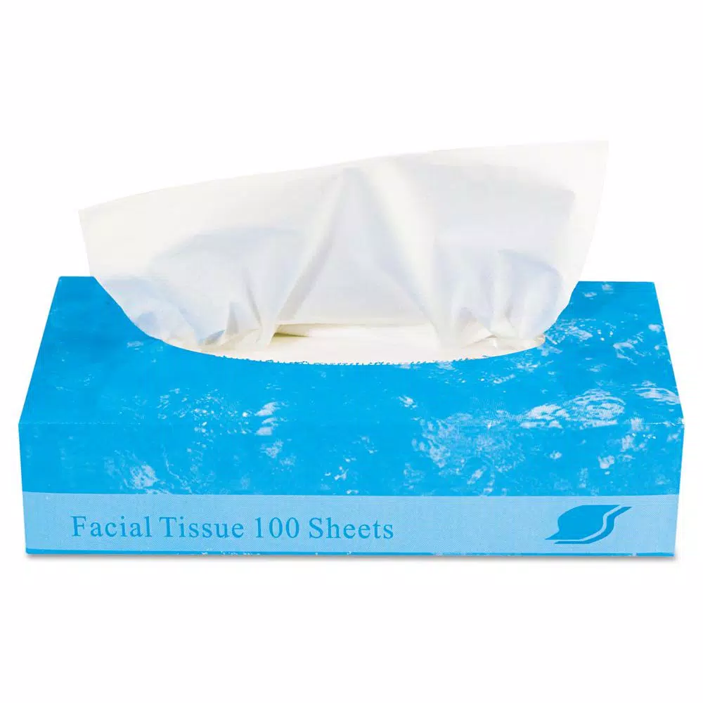 GEN 2-Ply White Facial Tissue, 100 Sheets per Box, 30 Box Carton