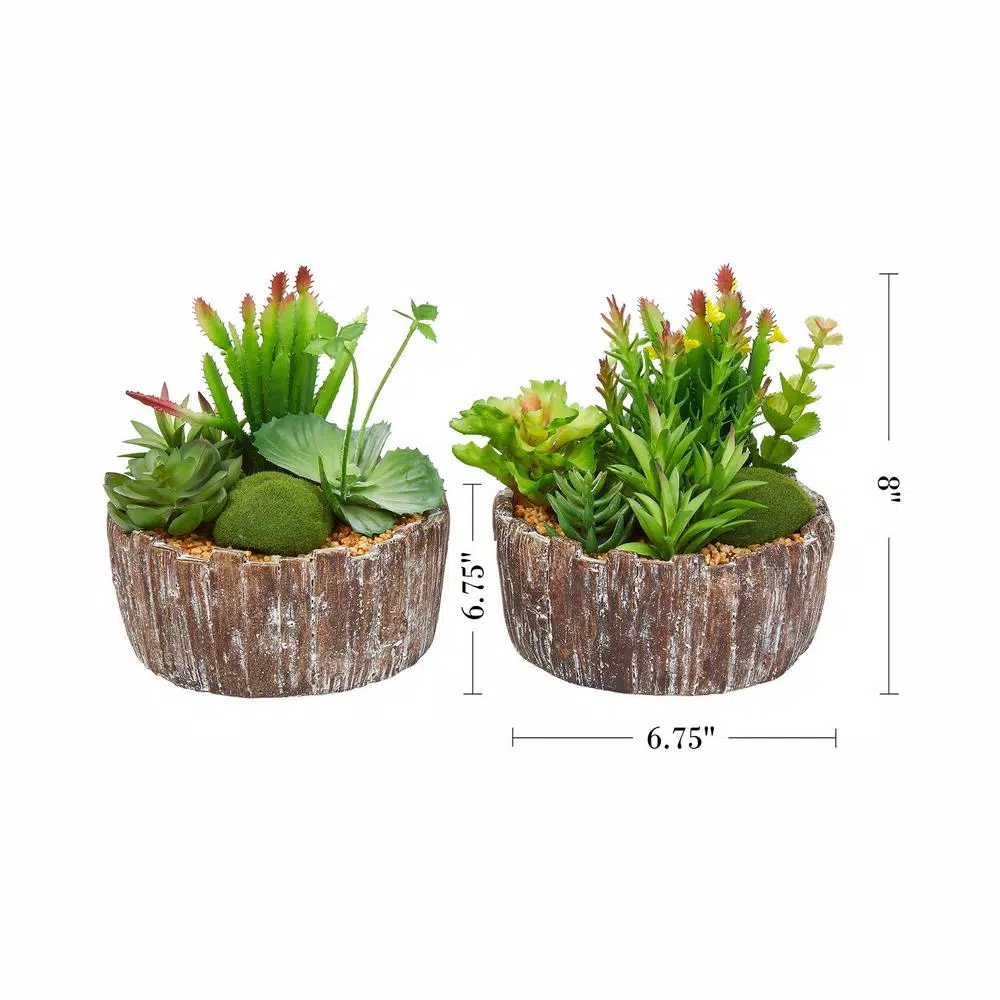 Pure Garden 8 in. Faux Succulent Arrangement with Decorative Concrete Planter, Set of 2