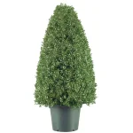National Tree Company 30 in. Artificial Boxwood Tree in Dark Green Round Plastic Urn thumbnail 1