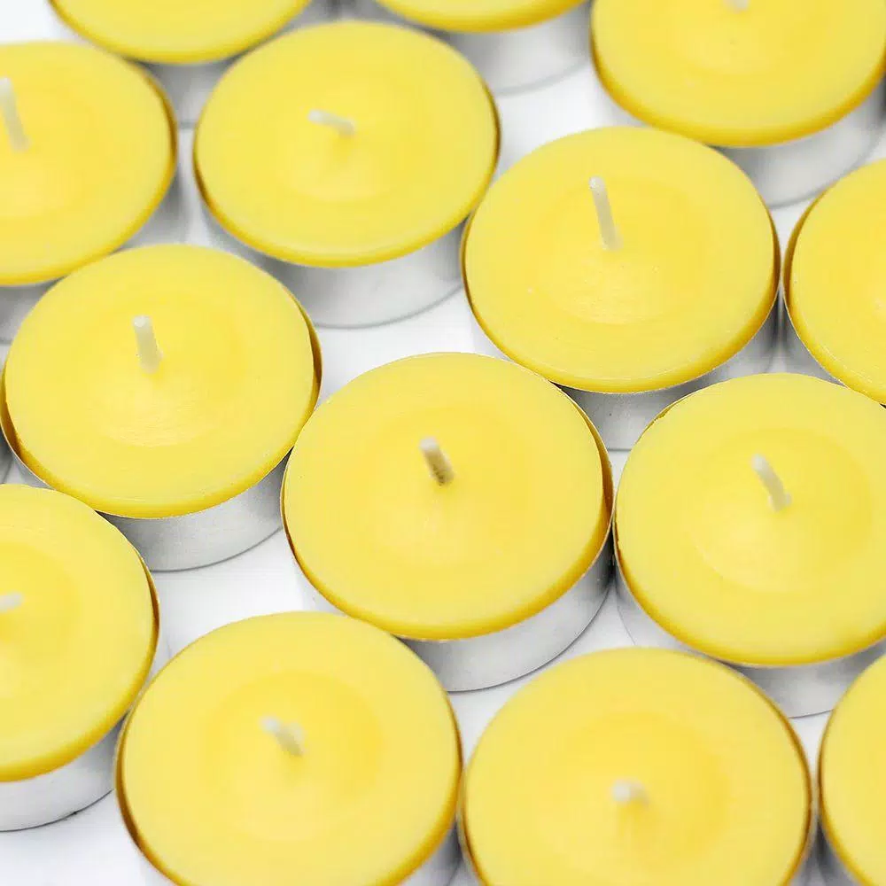 Zest Candle Yellow Citronella Tealight Candles, 1.5 in. Diameter (100-Box)