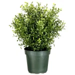 National Tree Company 30 in. Argentea Artificial Arborvitae Evergreen Bush in Green Round Growers Pot thumbnail 1