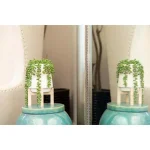 Flora Bunda 10 in. Faux Donkey Tail Succulent in White Ceramic Planter with Wood Stand thumbnail 5