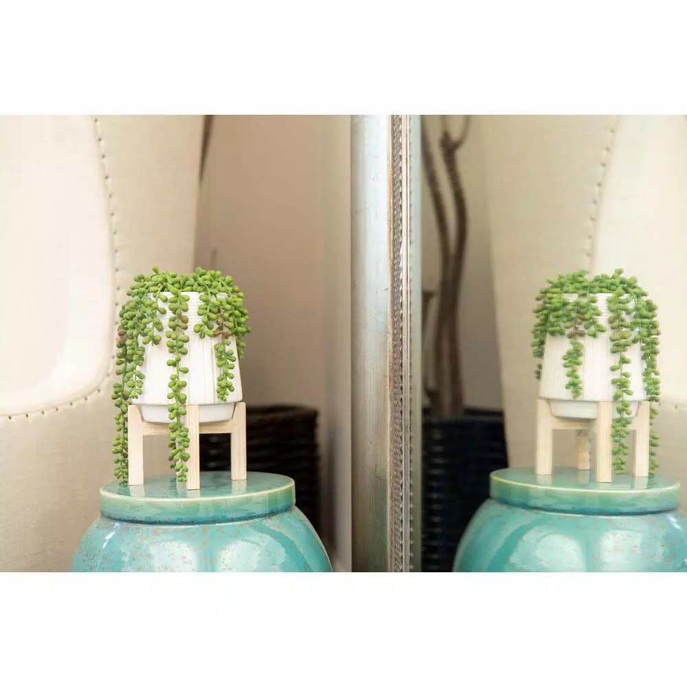 Flora Bunda 10 in. Faux Donkey Tail Succulent in White Ceramic Planter with Wood Stand