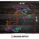 Haunted Hill Farm 48 in. Wicked Witch on a Broom LED Halloween Indoor/Outdoor Light thumbnail 5