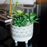 Flora Bunda 6 in. White and Black Geometric Ceramic Footed Planter with Faux Succulent Mix thumbnail 3