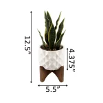 Flora Bunda 12.5 in. Faux Snake Plant in White Dimple Pattern Ceramic Pot with Wood Stand thumbnail 2