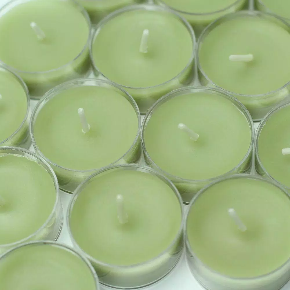 Zest Candle Sage Green Tealight Candles, 1.5 in. Diameter, 50-Pack