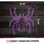 Haunted Hill Farm 48 in. x 40 in. Creepy Crawling Spider LED Halloween Window Light thumbnail 6
