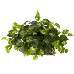 Nearly Natural 15in. Green Pothos Ledge Silk Plant - Indoor Artificial Bush thumbnail 1