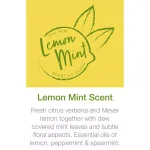 Bona Lemon Mint Hard-Surface Floor Cleaner, 32 oz. thumbnail 5