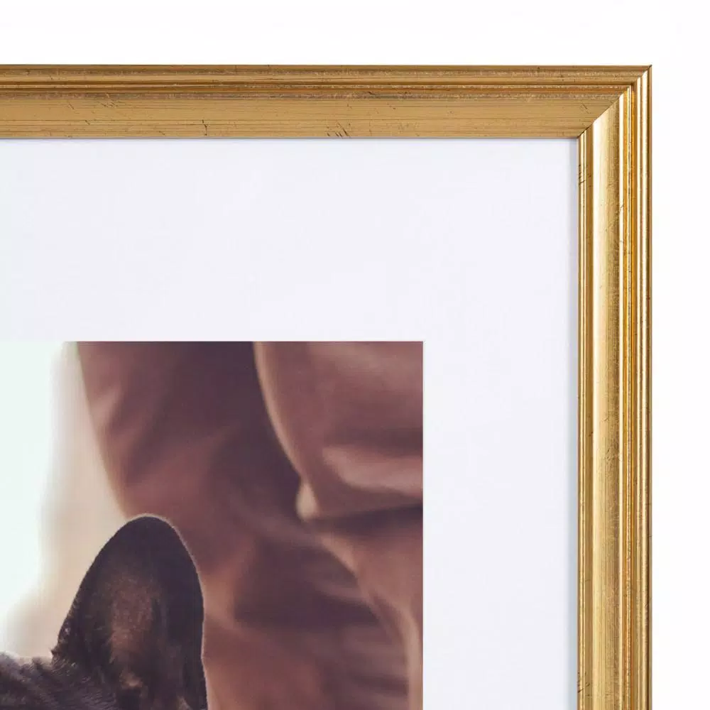 Kate and Laurel Adlynn Gold Picture Frame Set, 16 x 20 in. and 8 x 10 in. with Mats, Set of 3