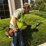 ECHO SHC-2620 X Series 21 in. Gas Hedge Trimmer, 25.4 cc 2-Stroke Engine thumbnail 3