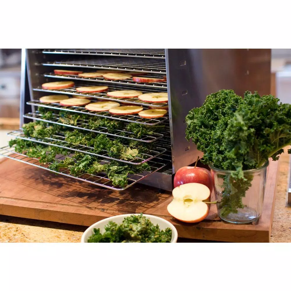 Weston Pro 1000 Stainless Steel 10-Tray Food Dehydrator, 1000W with Horizontal Air Flow