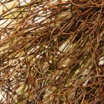 National Tree Company 24 in. White Tulip Wreath with Green Stems and Bristle Branch Base thumbnail 3