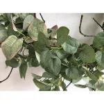 Glitzhome 24 in. Green Artificial Eucalyptus Wreath with Frosted Leaves and Grapevine Base thumbnail 4