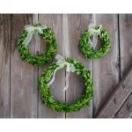 Unbranded Set of 3 Preserved Boxwood Wreaths, Round Green Decorative Wreaths (6 in, 8 in, 10 in) thumbnail 2