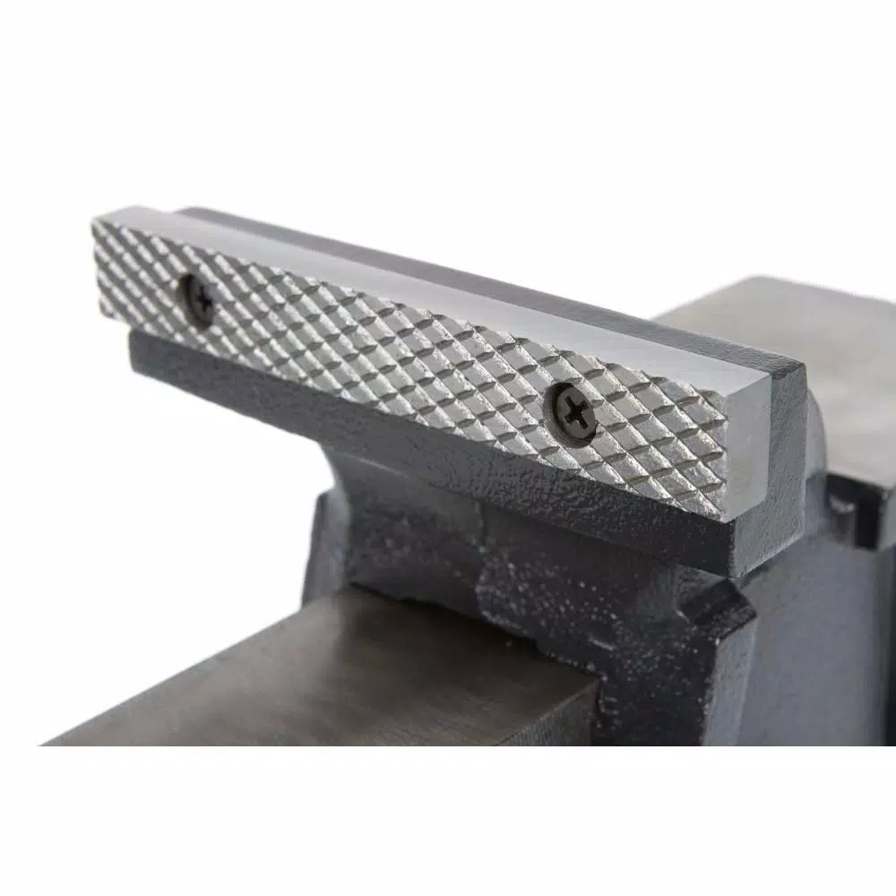 TEKTON 6 in. Swivel Bench Vise with Polished Anvil