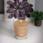 ROOT CANDLES A.I. Root Veriglass Ginger Patchouli Scented Soy and Beeswax Jar Candle thumbnail 1