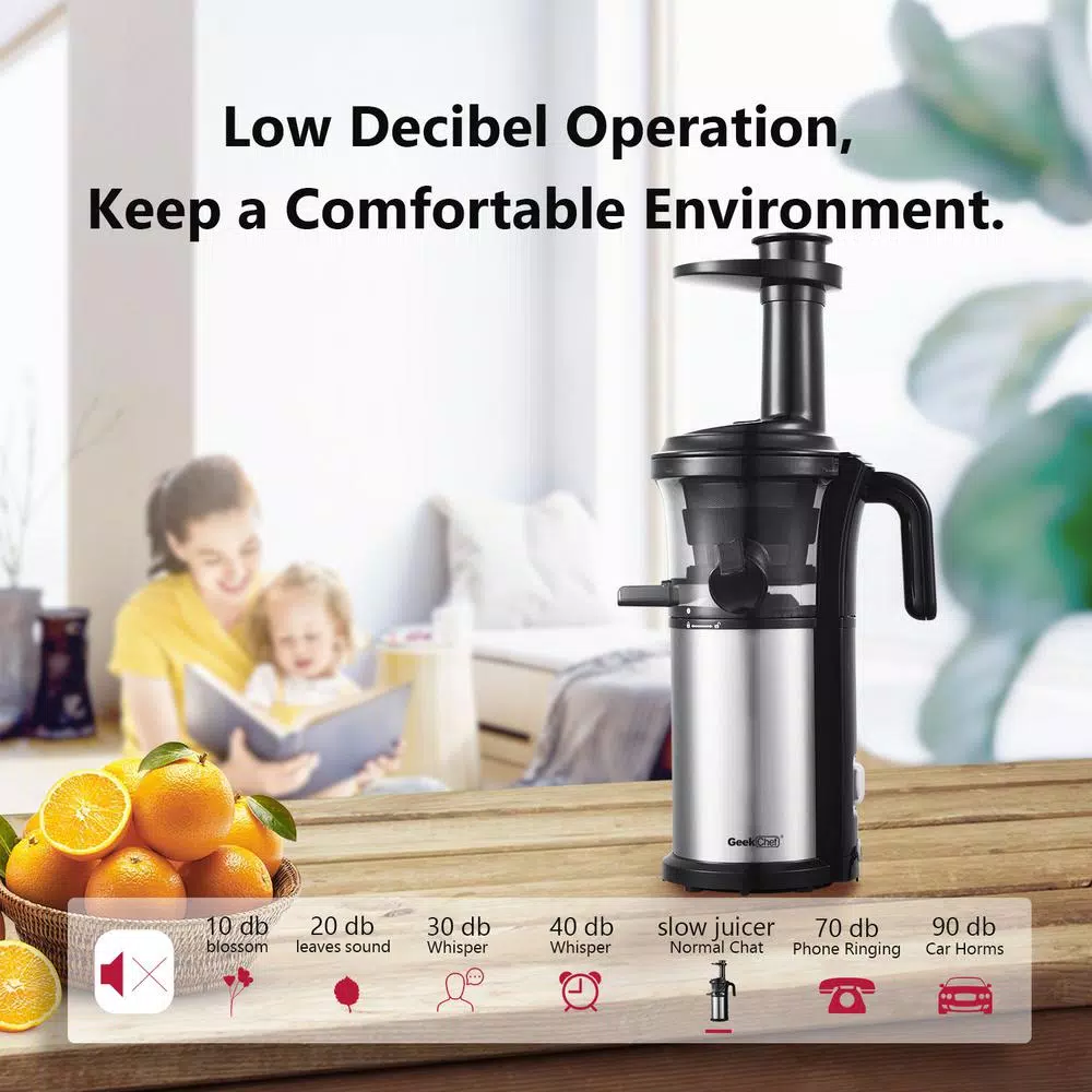 Boyel Living 200W Stainless Steel Slow Masticating Juicer, Quiet Cold Press Juicer with Reverse Function, Silver