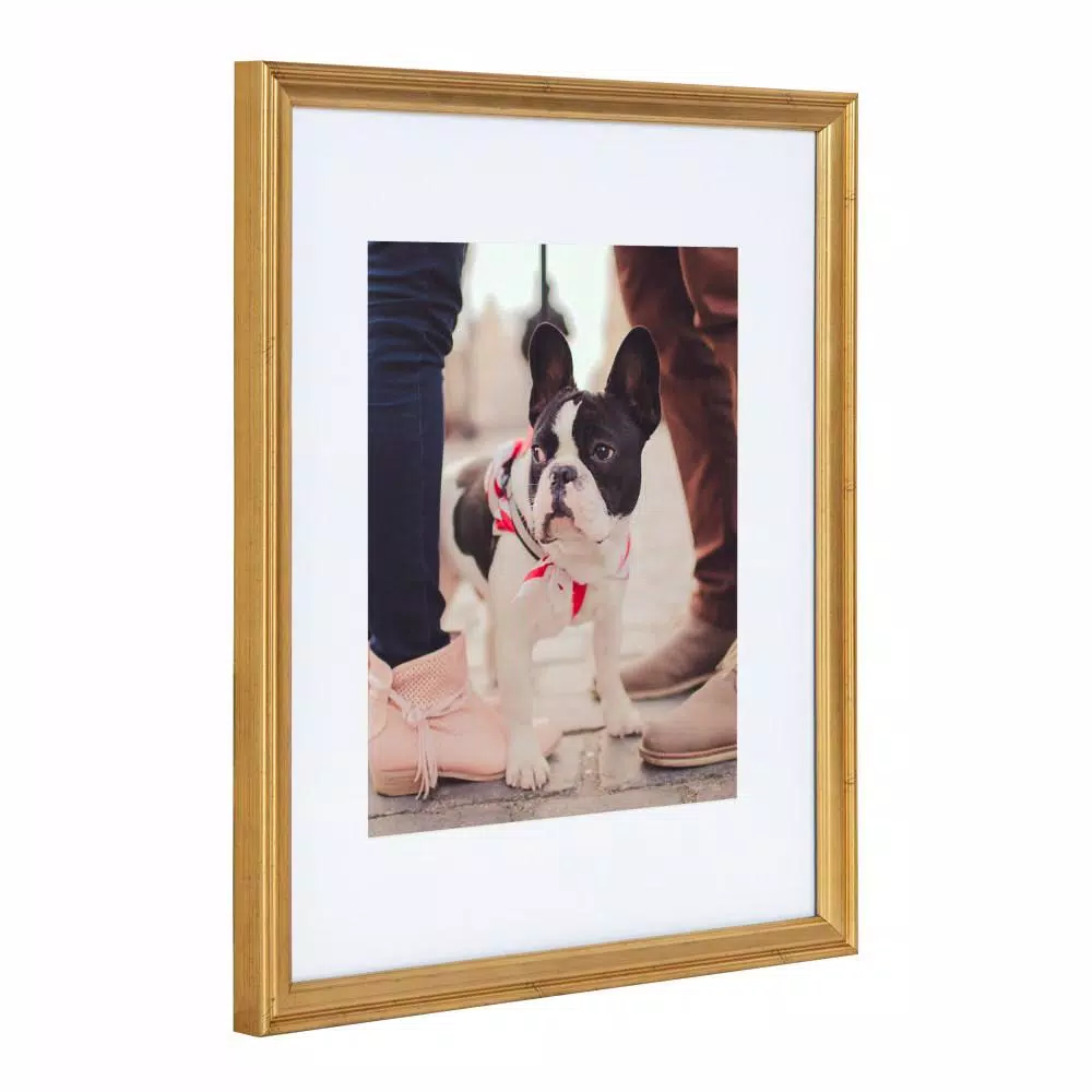 Kate and Laurel Adlynn Gold Picture Frame Set, 11 x 14 in. and 8 x 10 in. with Mats, Set of 4