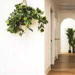 Nearly Natural Lifelike Pothos Silk Plant in Woven Roped Hanging Basket thumbnail 5