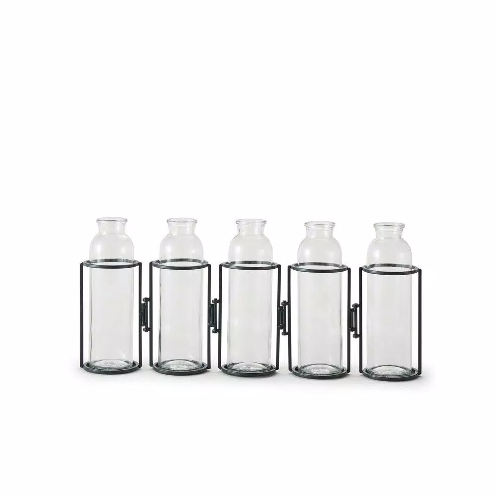 Danya B. 8 in. Hinged 5-Bottle Vase, Black Iron and Clear Glass