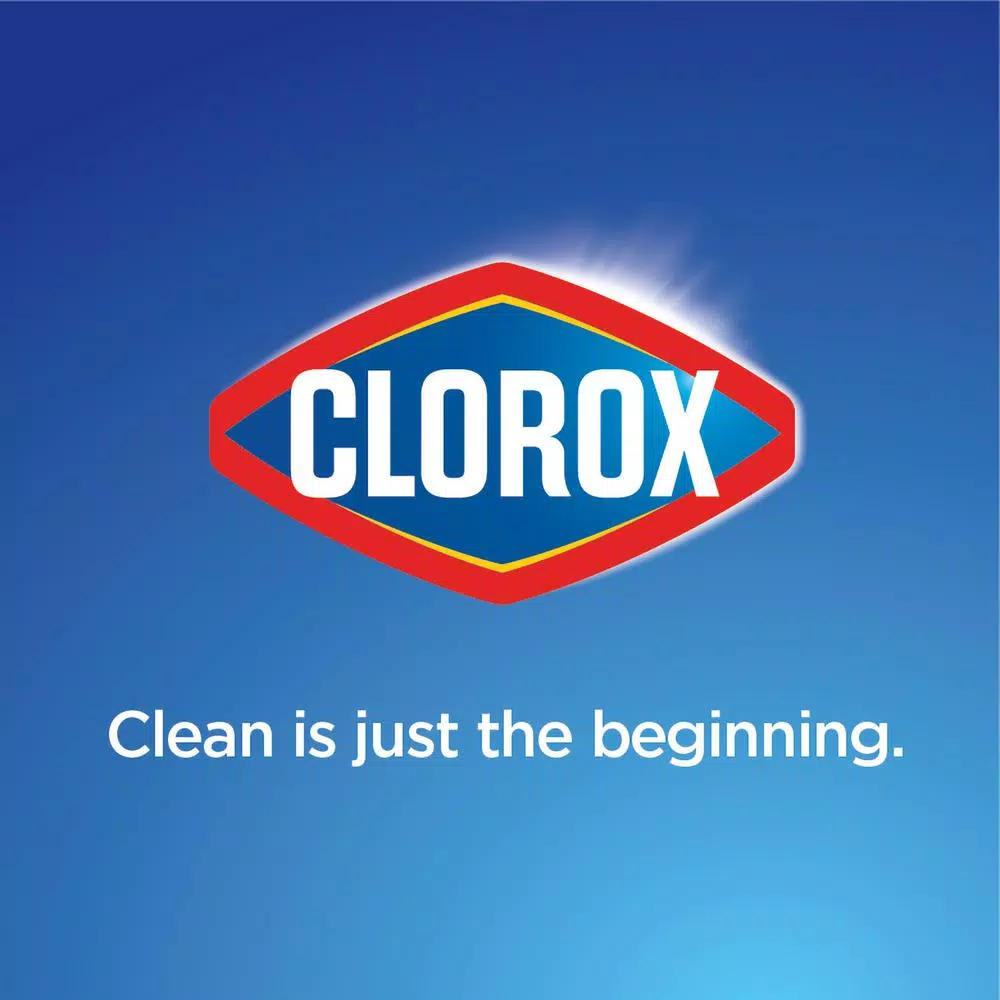 Clorox Toilet Bowl Cleaner with Bleach, Rain Clean Scent, 24 oz (2-Pack)