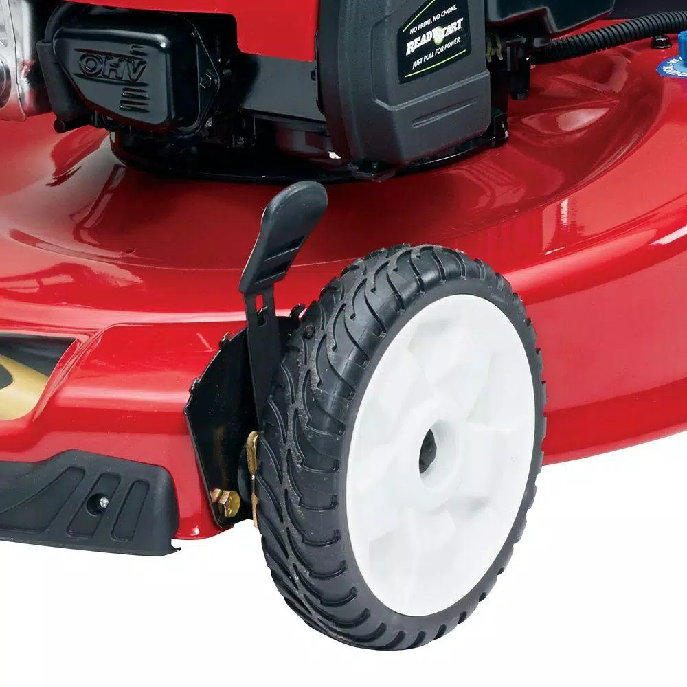 Toro Recycler 22 in. Self-Propelled Gas Lawn Mower with Briggs & Stratton Engine