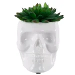 Flora Bunda White Ceramic Sugar Skull Succulent Planter with Artificial Plant, 4.5 x 3.5 in. thumbnail 1