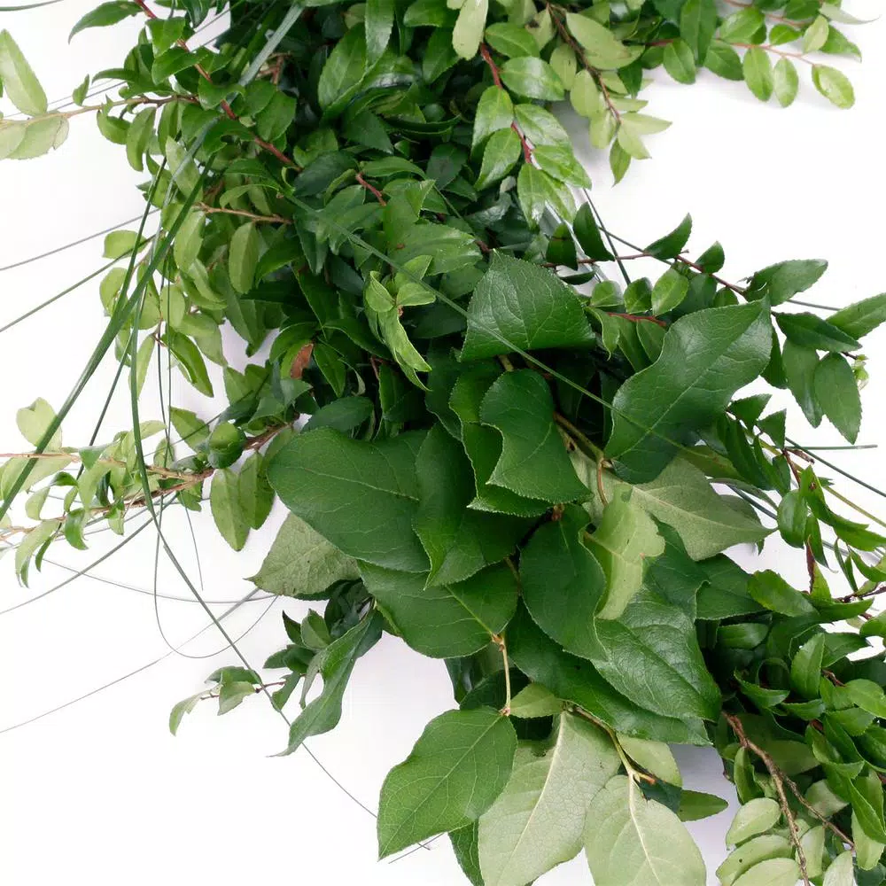 VAN ZYVERDEN 6 ft. Fresh Cut Pacific Northwest Deluxe Evergreen Holiday Garland Mix Coil Runner