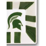 Magnolia Lane Michigan State NCAA Officially Licensed 4-Section Ceramic Tailgating Serving Platter thumbnail 2