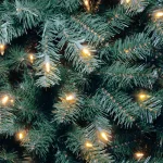 National Tree Company 7 ft. North Valley Blue Spruce Artificial Christmas Tree with 550 Clear Lights thumbnail 3