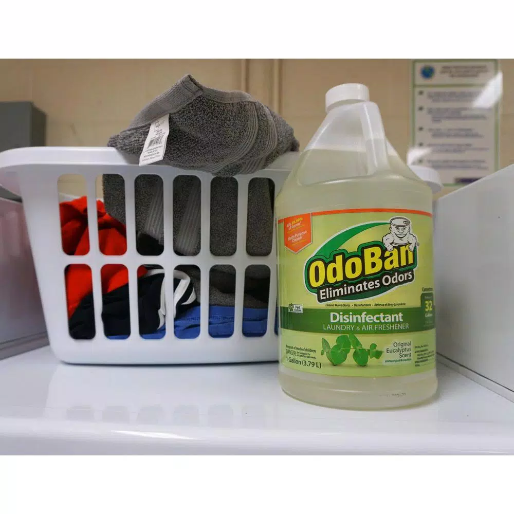 OdoBan Eucalyptus Laundry and Air Freshener, Mold and Mildew Control Disinfectant Concentrate (Case of 4, 1 Gal Each)