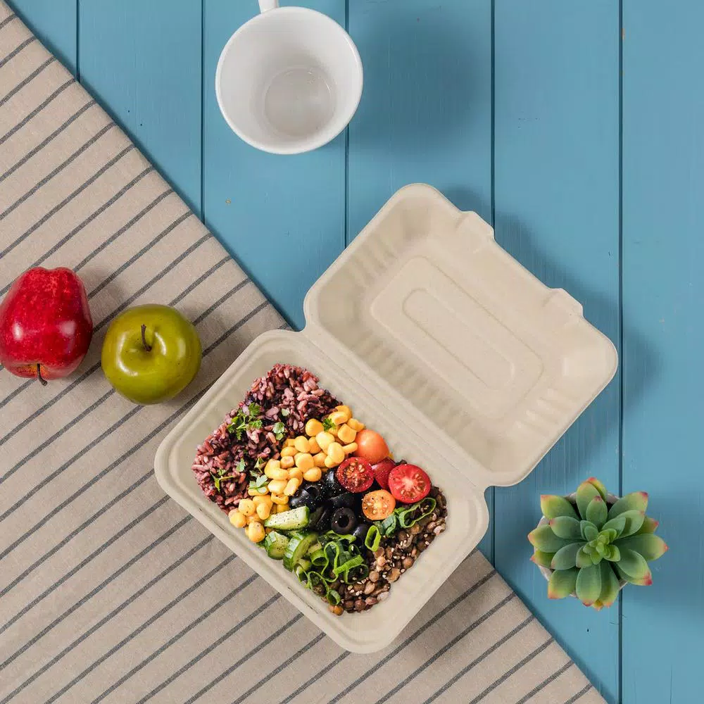 Unbranded 9 in. Natural Sugarcane Clamshell Containers, Biodegradable & Compostable (300 Pack)