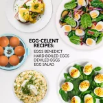 Nostalgia Premium Nostalgia 7-Egg Aqua Egg Cooker - Multi-Function Steamer & Poacher thumbnail 8
