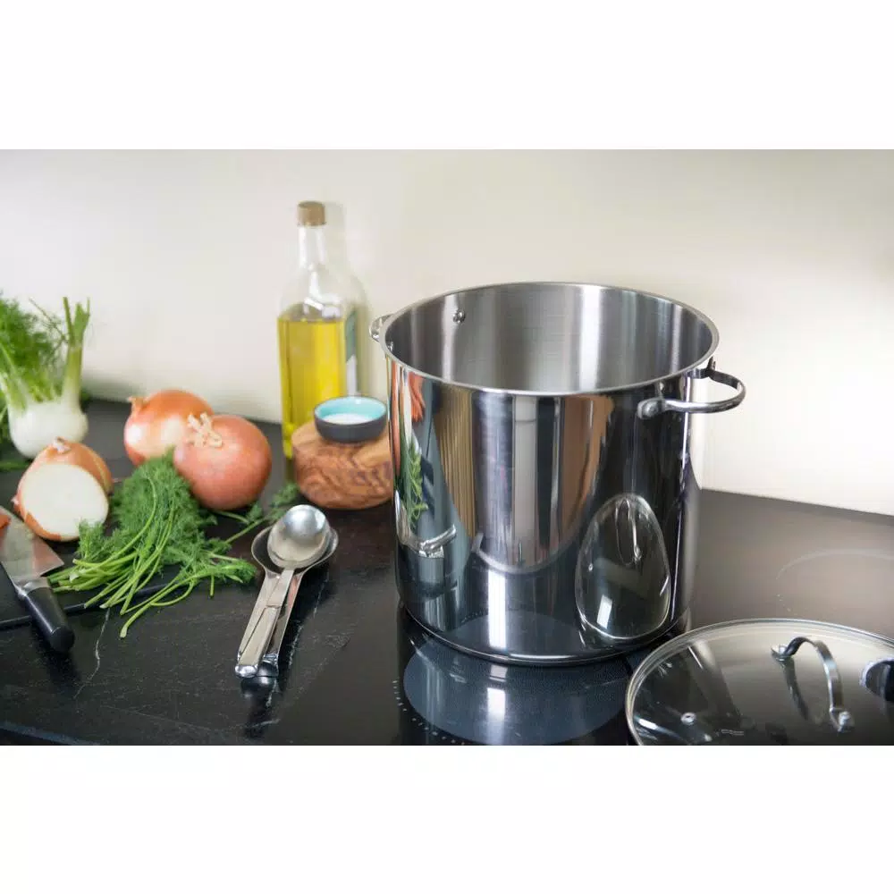 RSVP International Endurance 12 Qt. Stainless Steel Stock Pot with Glass Lid, Induction Compatible