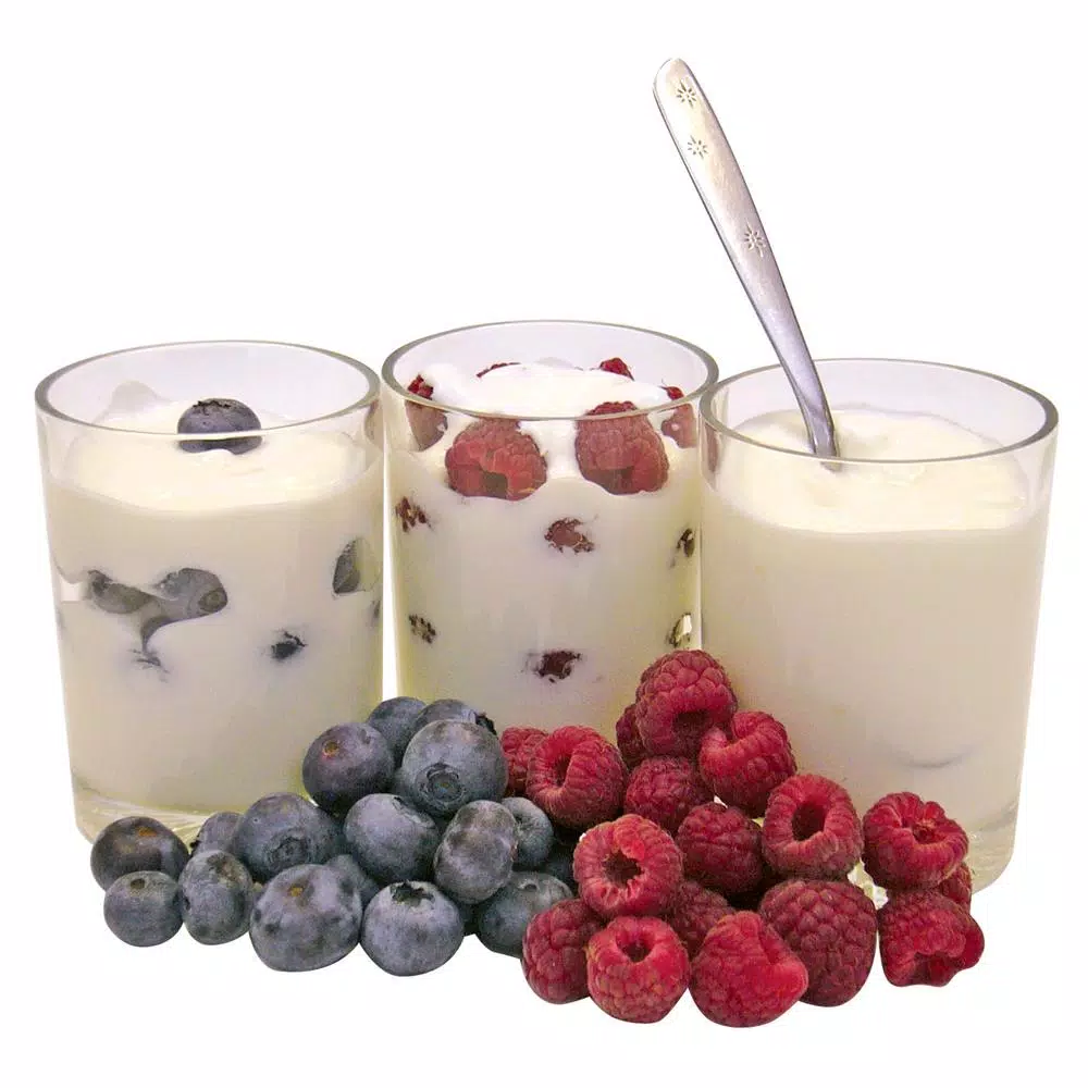 Total Chef 42 oz. Yogurt Maker with 7 Glass Containers, White